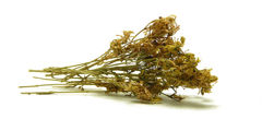 Βαλσαμoχορτο - herbs