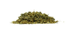 Achillea (Yarrow) - herbs