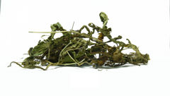 Ταραξάκο - herbs