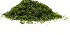 Dill  - herbs