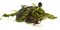 “Slim Tea” Herbal Blend - herbal mixtures