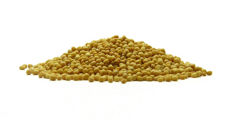 Amaranth seeds  - spices