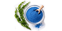  - super foods