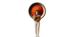  - mixed spices