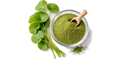  - super foods